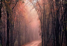 米兰登录入口-包含阿塞拜疆队奋勇拼搏，成功晋级的词条